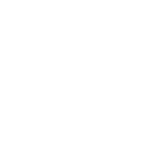 Helmilevyt